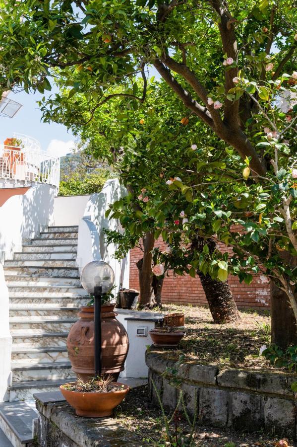 Villa Francesca Relais Пиано ди Соренто Екстериор снимка